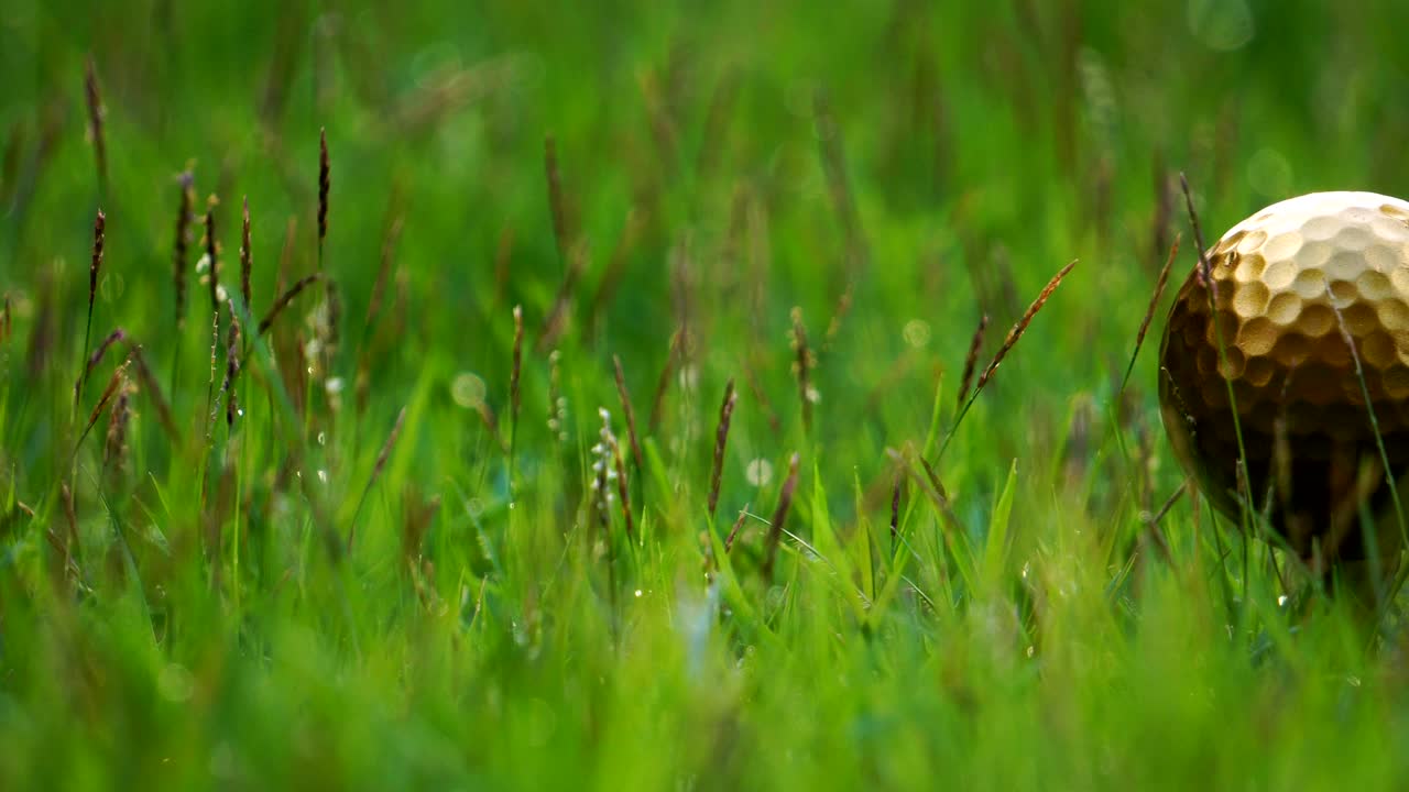 골프 공과 금의 핀은 자연의 아름다움의 배경에서 골프의 궁극적인 승리입니다.