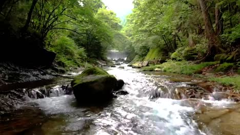 Low-altitude-moving-drone-shot-of-shallow,-crystal-clear-river-inside-forest-and-forest-on-a-sunny-summer-day-in-Nikko,-Japan