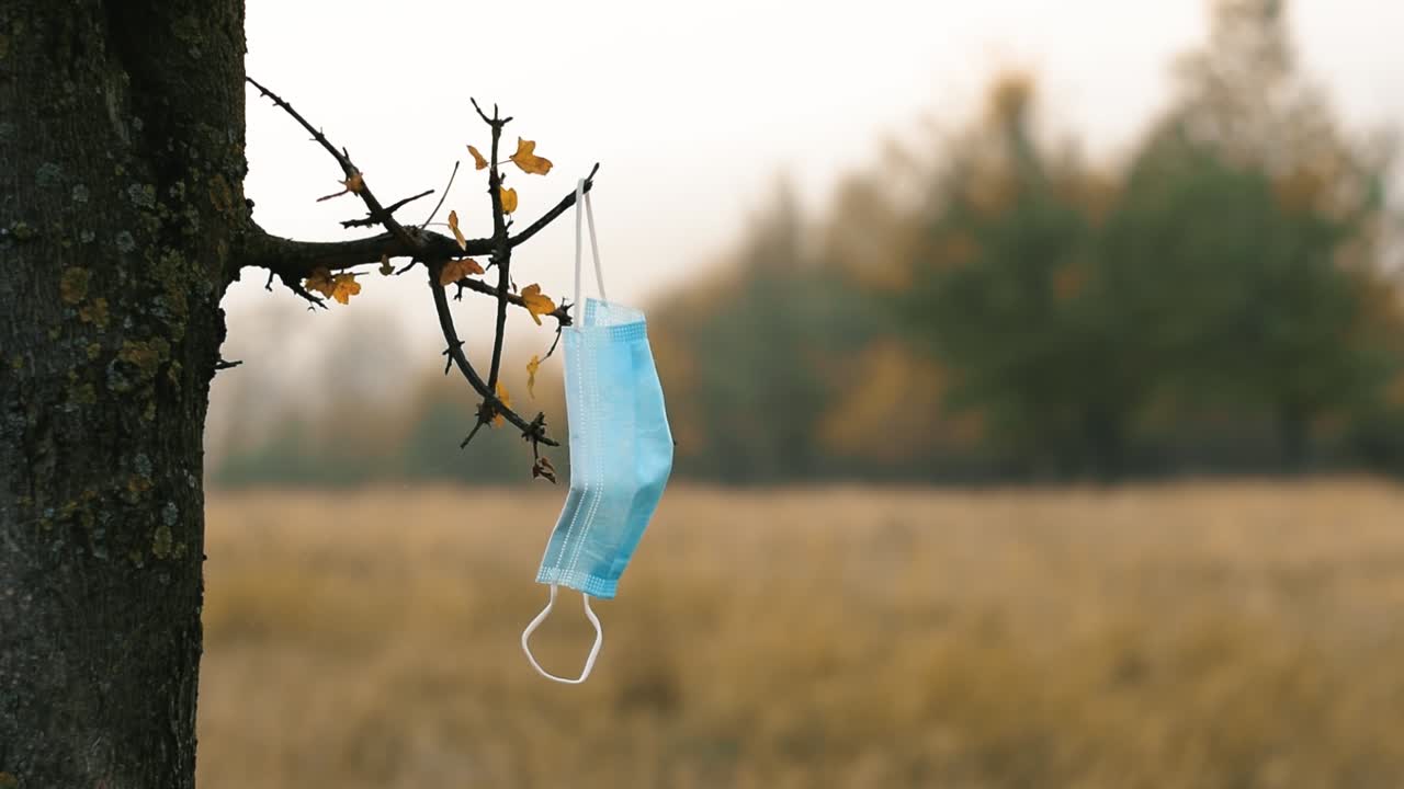 Pezzo di una mascherina chirurgica protettiva monouso lasciato appeso a un albero e che ondeggia al vento