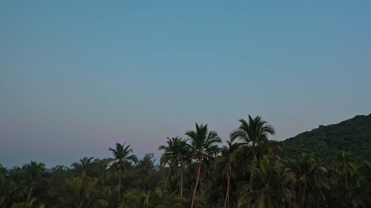 인도 남쪽 고아의 폴렘 해변 근처 산에 울창한 열대림