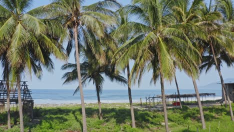 aerial: remote beach shacks on tropical paradise beach, palm tree surf huts