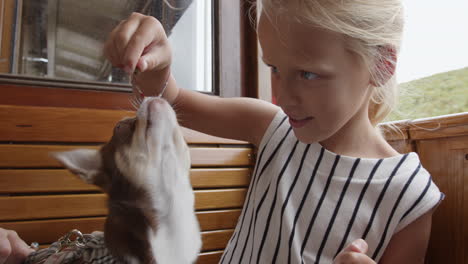 girl feeding a dog on a train