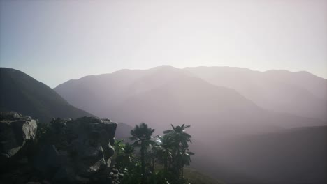 mountain and field landscape with palms
