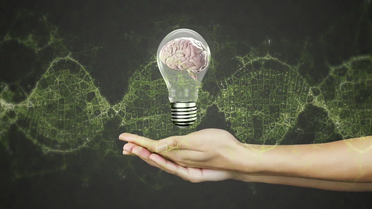 Holding light bulb with brain inside, hand over digital network animation background