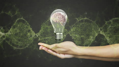 holding light bulb with brain inside, hand over digital network animation background