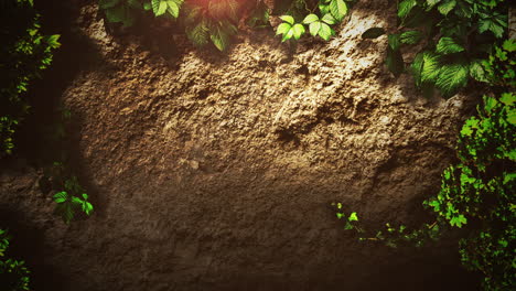 fondo cinematográfico con piedras, hojas verdes y efecto de luz en el fondo de la naturaleza con cámara de movimiento
