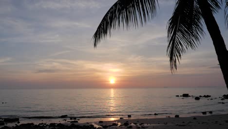 hermosa puesta de sol en el horizonte en la playa con palmera en asia - cámara ultra lenta