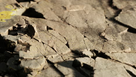 Cerca-De-La-Formación-De-Piedras-Rocosas