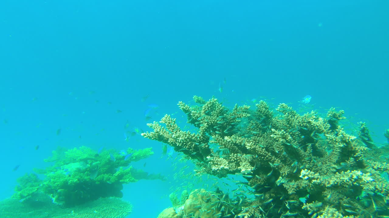 자연의 아름다움을 받아들이는 것