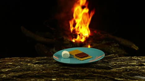 Plato-De-S&#39;mores-En-Un-Tronco-Frente-Al-Fuego