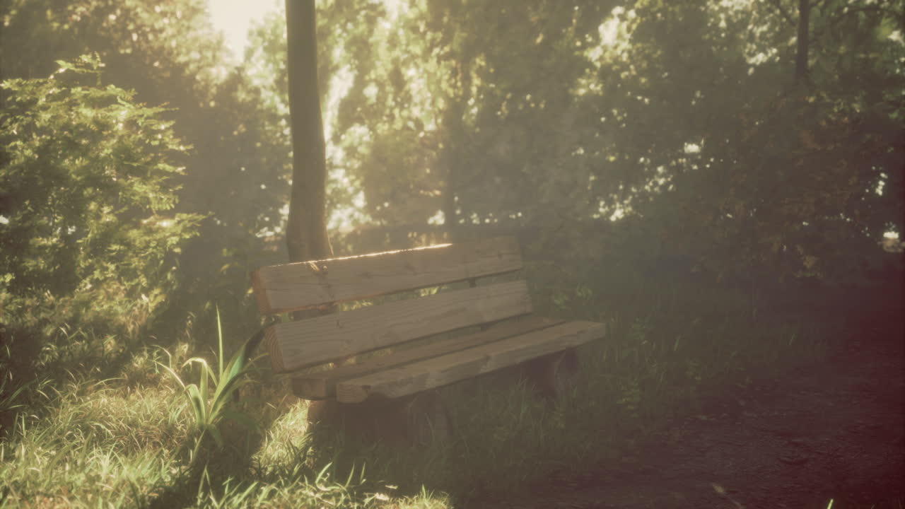 Wooden bench in a serene park surrounded by trees and sunlight