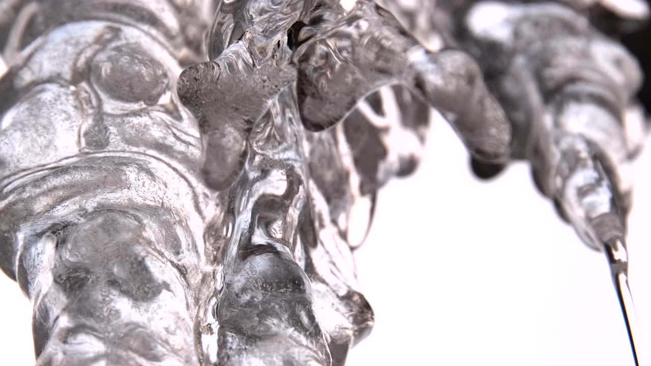 얼음 어리의 클로즈업