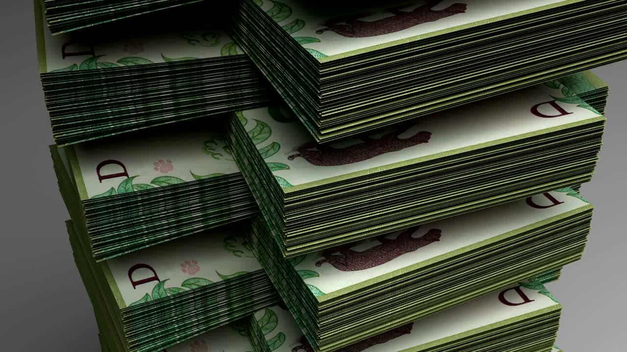 아르헨티나 페소의 어리