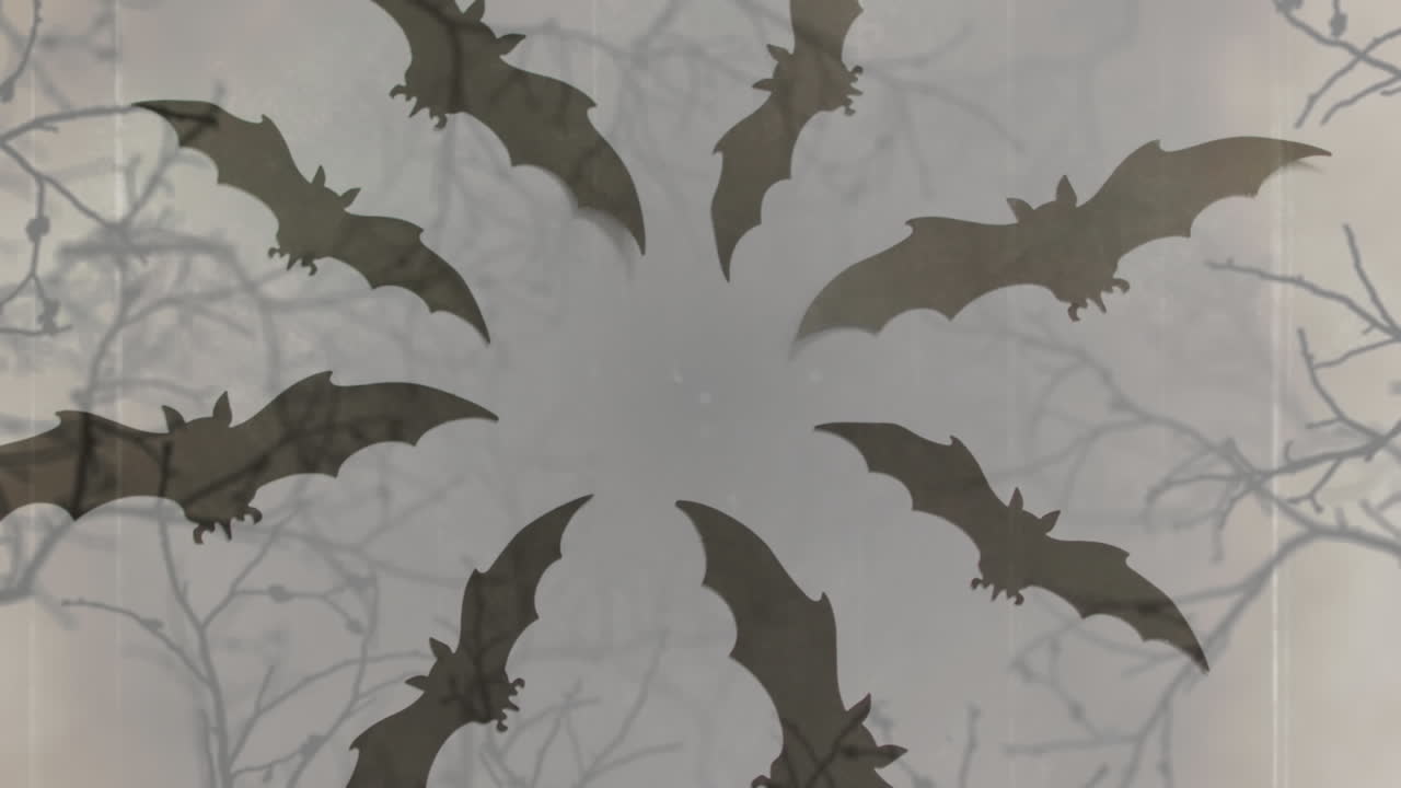 Animazione di pipistrelli grigi di Halloween in cerchio su sfondo grigio.