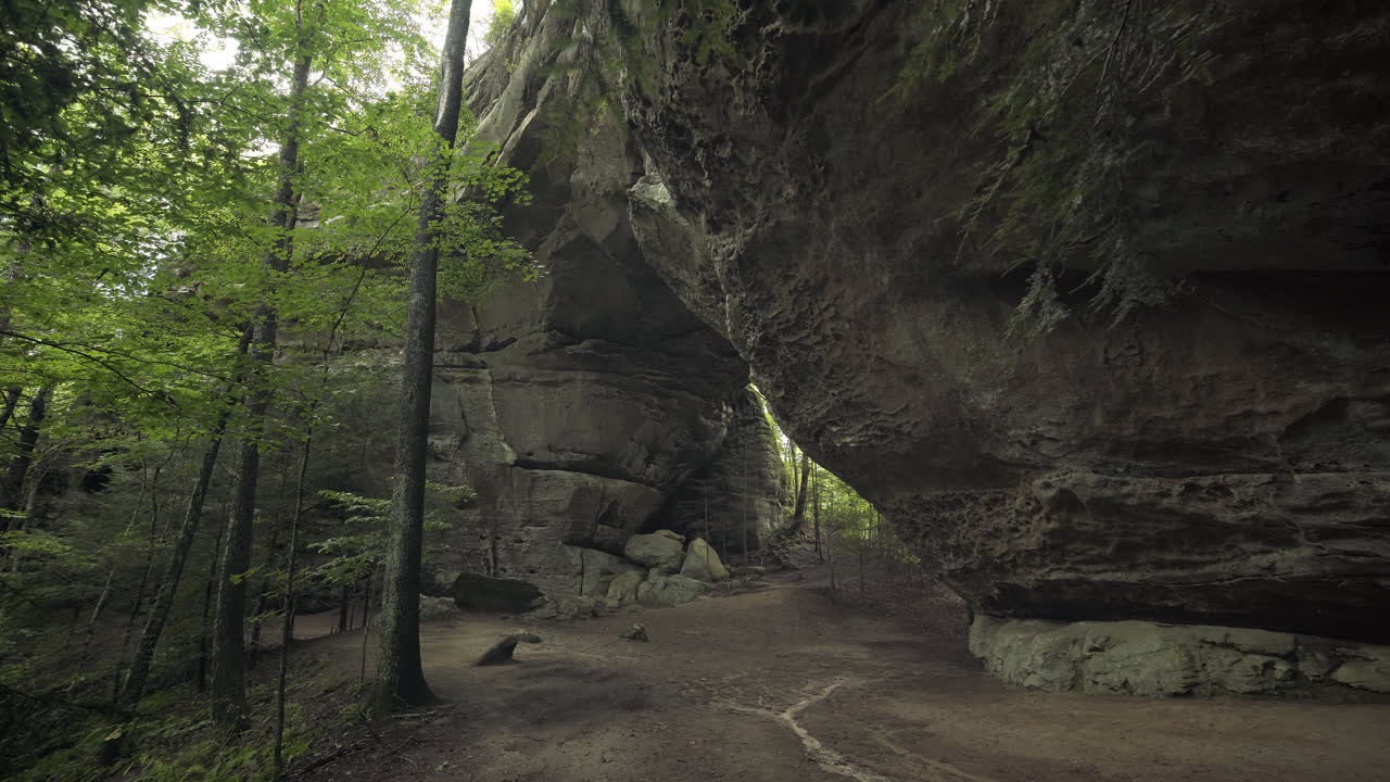 ancho de árboles que soplan suavemente en la brisa con un gran arco de piedra natural detrás, 4k