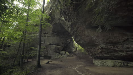 Wide-of-trees-gently-blowing-in-breeze-with-large-natural-stone-arch-behind,-4K