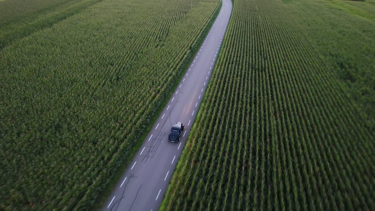 검은색 빈티지 자동차가 옥수수 을 가로질러 가는 도로를 운전합니다.