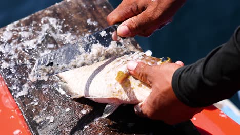 hands scaling a fish on a wooden board