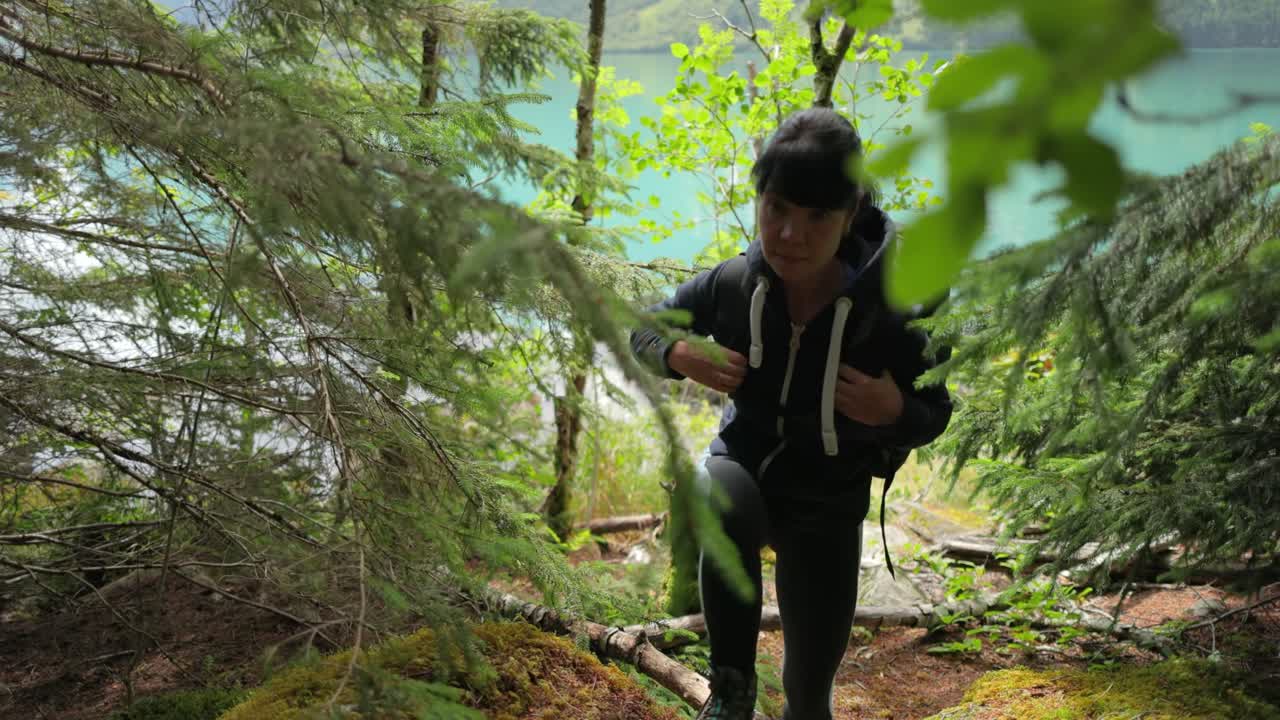 하이킹 여자 는 봄 의 녹색 숲 에서 하이킹 배 ⁇  을 들고  ⁇ 다