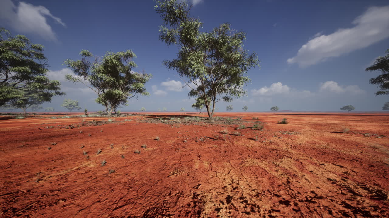 el árbol de acacia en el masai mara