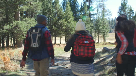 amigos emocionados caminando más allá de una cabaña en un bosque, vista de atrás, filmado en r3d