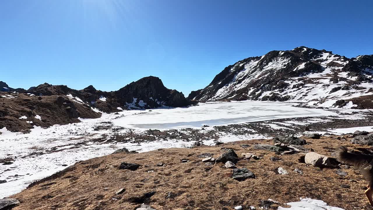 지역 목자 개 와 함께 높은 히말라야 를 산책 하는 것