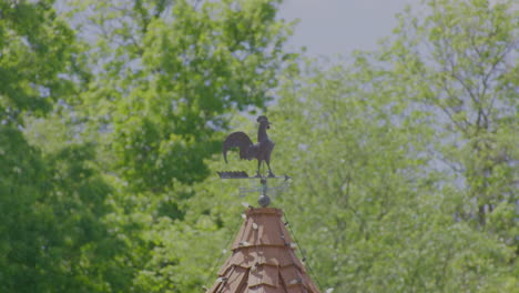 weather vane rooster against trees in sunlight during summer