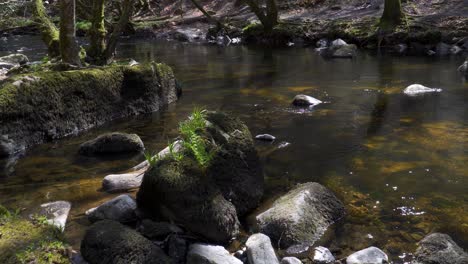 Süßwasser,-Das-Den-Fluss-Teign-Im-Nationalpark-Dartmoor-Hinunterfließt