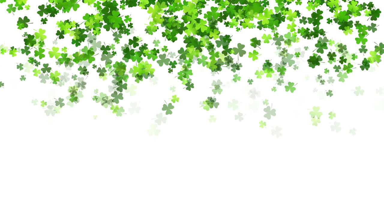 Falling green leaves shamrock clover on a white background. Copy space. Looped holiday animation for St. Patrick's Day.