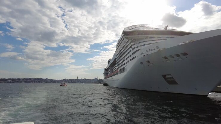 Cruise Ship in Istanbul Harbor