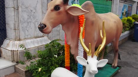 Heilige-Kuh,-Geschmückte-Kuh-Vor-Einem-Tempel-In-Bangkok,-Thailand
