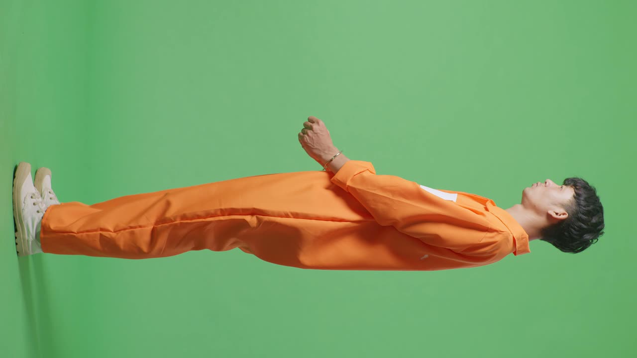 녹색 화면에서 죄수 프로필 뷰