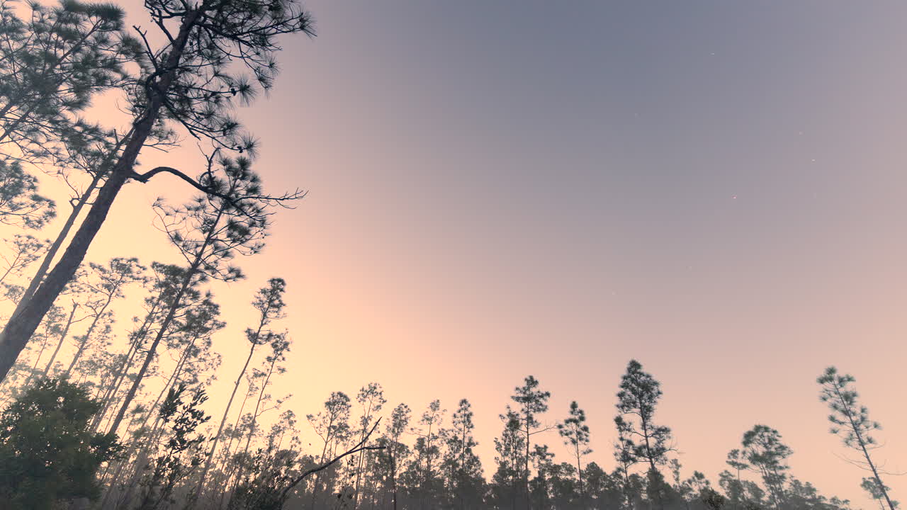 Dusk Astrophotography Timelapse of Pine Rocklands