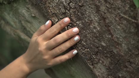 Manos-Femeninas-Acarician-Tiernamente-Un-árbol,-Simbolizando-La-Profunda-Conexión-Entre-La-Naturaleza-Y-La-Humanidad