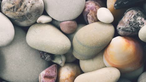 rotating pebbles and seashells background.