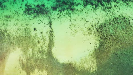 textura costera con patrones coloridos de arrecifes de coral y guijarros bajo aguas claras de laguna poco profunda en filipinas