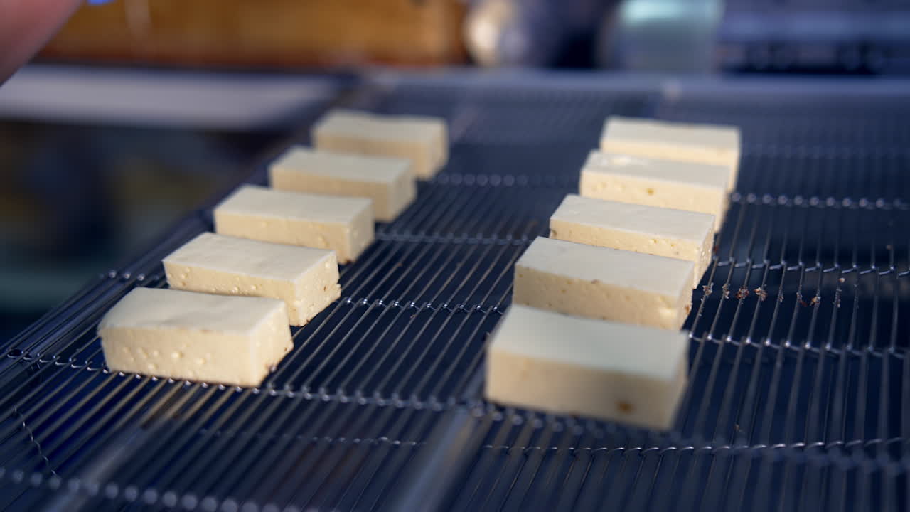 White creamy sweets being laid on the conveyor grate by the worker's hands in gloves. Candies move quickly on the conveyor to go under the next procedure. Close up.