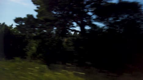 sunny day on gotland with trees and clear skies from moving car, blurry foreground showing motion