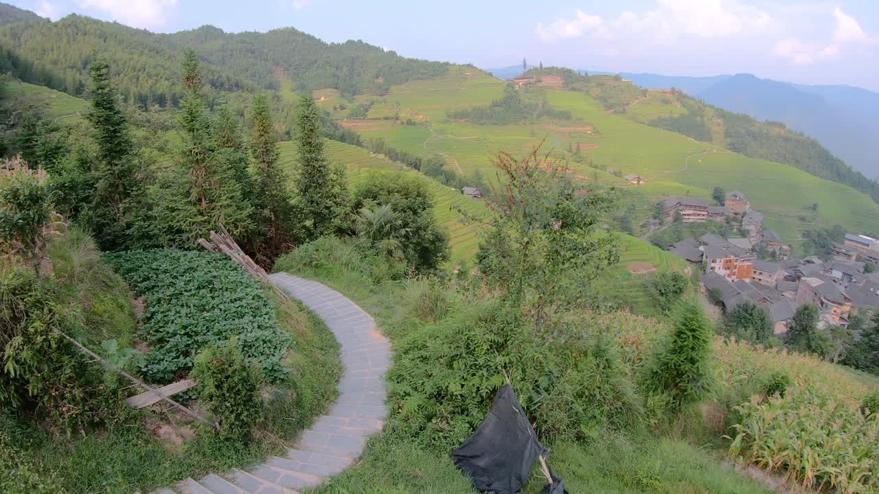 Narrow walking path among the beautiful and scenic Seven Stars Accompany the Moon cascading layered Rice Terraces, forming part of Longji Rice Terraces, Pingan village,  Guangxi Province, China