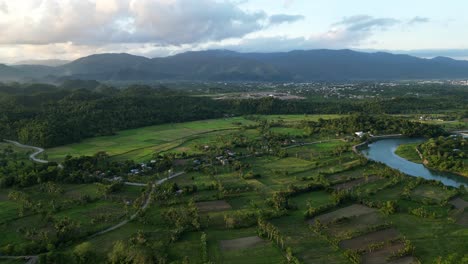 tierras de cultivo frescas sombreadas de virac catanduanes región montañosa boscosa