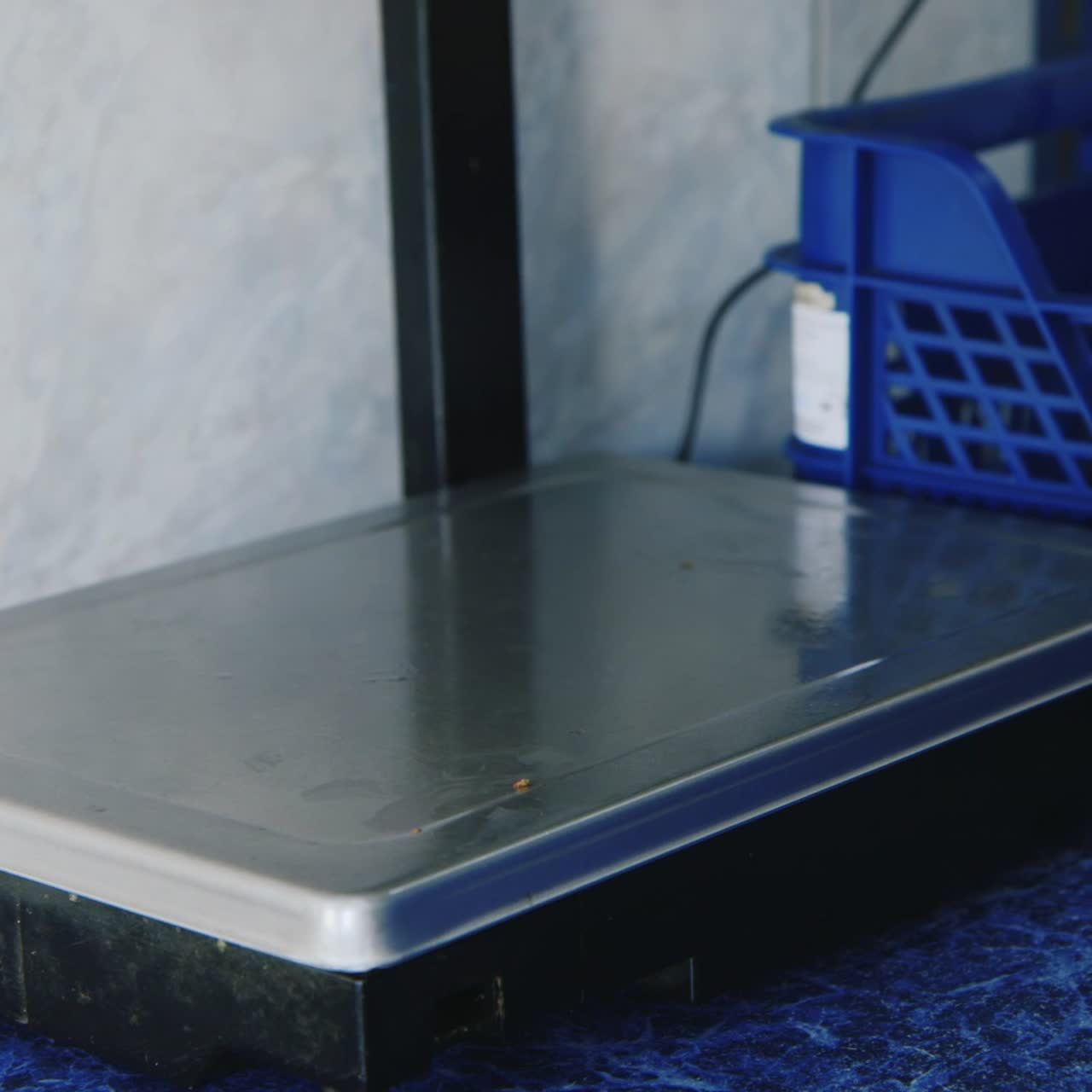 창고 직원이 저울에 훈제 고등어의 무게를 잰다