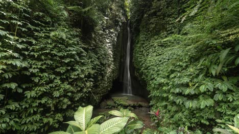 hidden waterfall in a lush jungle