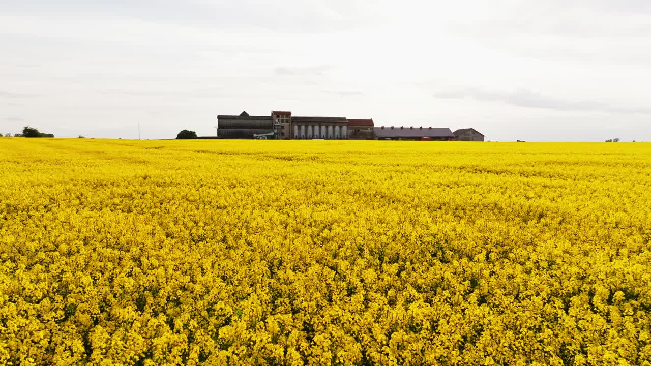 Aerial motion, rural farmland captures spring bloom industrial relic in one shot