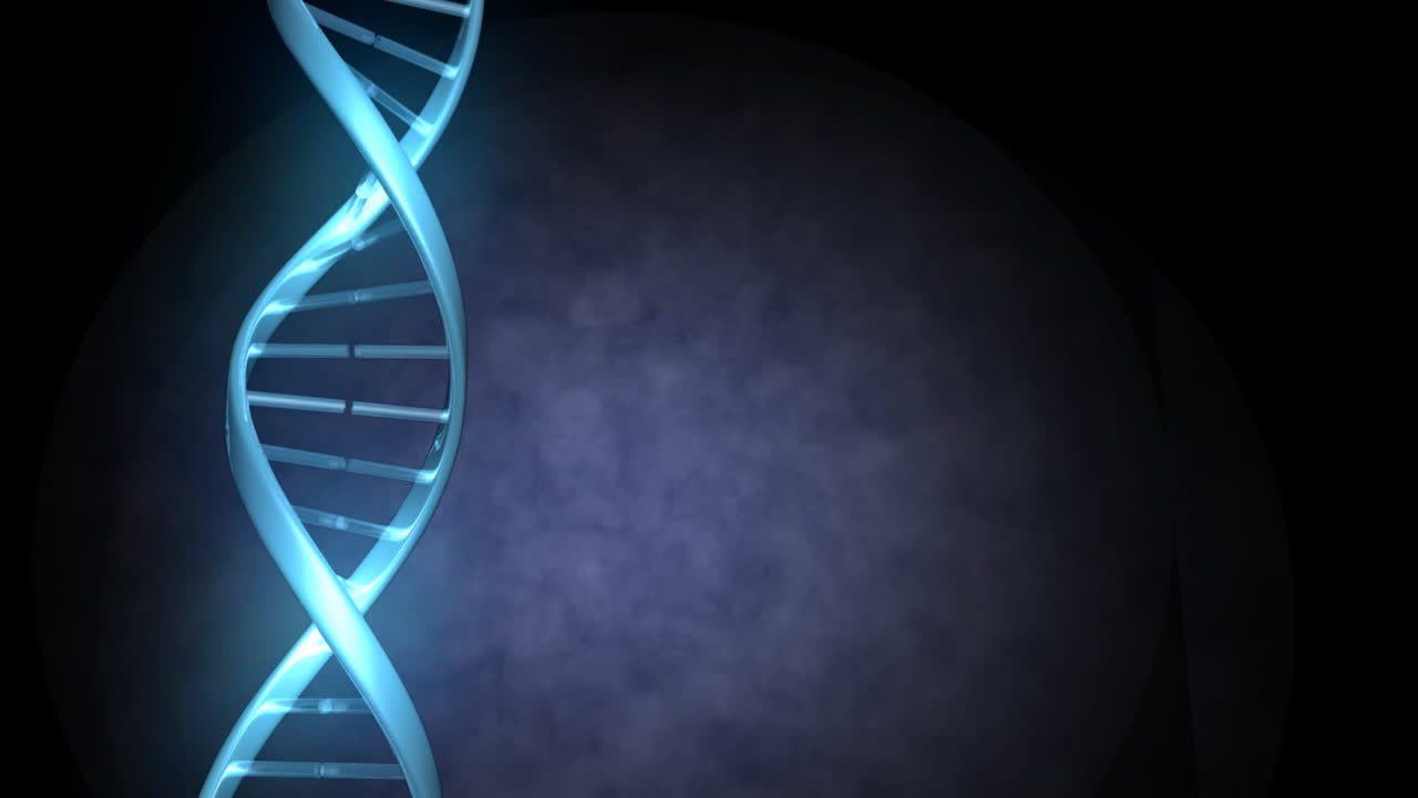 las líneas azules se entrelazan para formar una cadena de adn que luego gira.