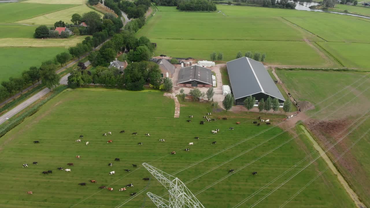 Luftfoto af en gårdeng fyldt med køer på landet i Joure, Friesland, Holland.