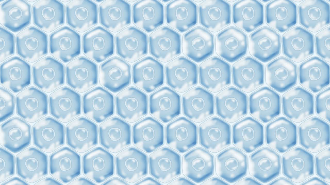 인간 피부 세포: 세포막을 가진 각 세포, 세포 치료, 질병 치료, 핵과 진공, 재생, 루프 애니메이션