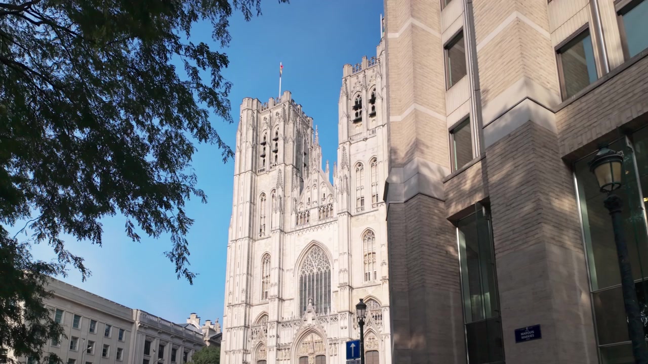 Inquadratura rivelatrice di una cattedrale gotica riccamente decorata a Bruxelles, accanto a un moderno edificio cittadino, incorniciata da alberi frondosi contro un cielo estivo limpido e azzurro.