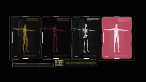 infographic on hud interface with skeletal nervous muscular system of human body on black background