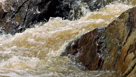 runoff water flowing between rocks in the brazilian rainforest during a drought year