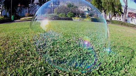 una pompa de jabón gigante es seguida lentamente y perseguida por el parque hasta que estalla en la hierba verde.